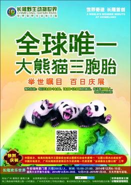 今日娱乐最新爆料栏在哪,最新爆料栏大揭秘！  第3张